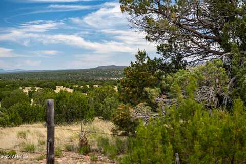 000-b Wooden Ear Lot B --, Seligman, AZ 86337