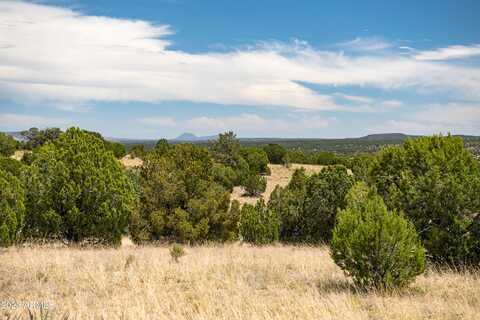 000-c Wooden Ear Ranch Road, Seligman, AZ 86337