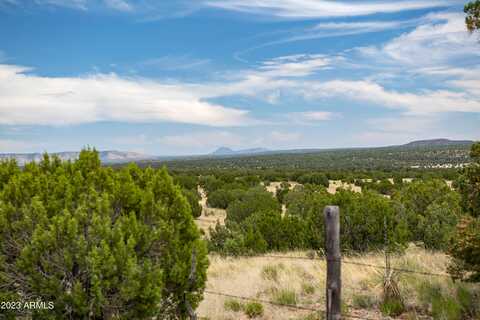 000-a Pine Ridge Lot A Road, Seligman, AZ 86337