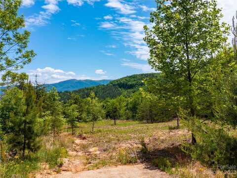 Lot 185 Harris Court, Mill Spring, NC 28756