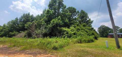 0 Oak Farms Lane, Irvington, AL 36544