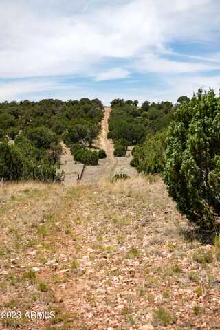 000-d Pine Ridge Parcel D --, Seligman, AZ 86337