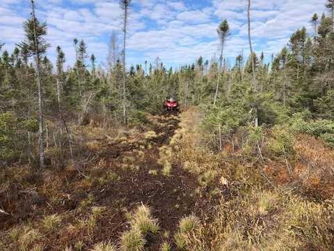 SWAMP ROAD, Tomahawk, WI 54487
