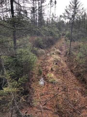 SWAMP ROAD, Tomahawk, WI 54487