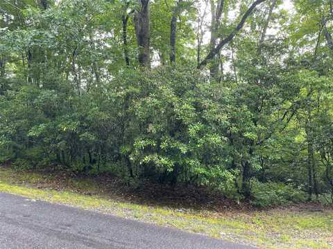 Tellico Trail unit: 116/01, Brevard, NC 28712