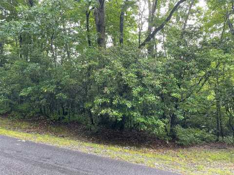 Tbd Tellico Trail, Brevard, NC 28712