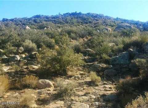 LOTS 8 & 9 --, Wikieup, AZ 85360