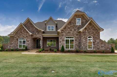 4606 Stone Mont Drive, Brownsboro, AL 35741