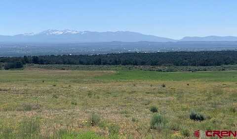 TBD Road 17.9 Lot #9, Cortez, CO 81321