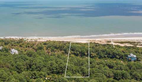 295 Pelican Flight Drive, Dewees Island, SC 29451