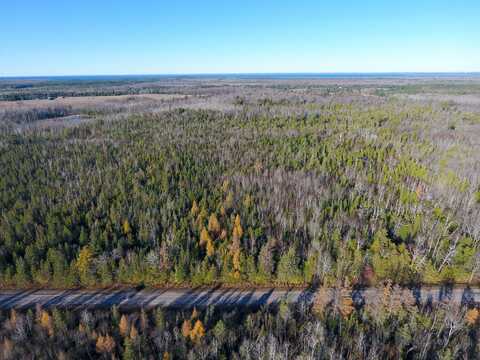 2801 E GILL ROAD 38+ ACRES, CARP LAKE, MI 49718