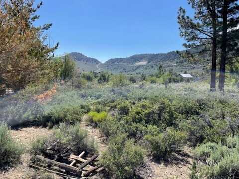 Lot 26 S. Landing Rd, Crowley Lake, CA 93546