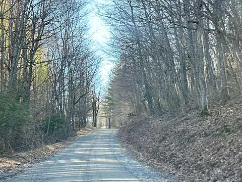 Stewart Hollow, MOUTH OF WILSON, VA 24363