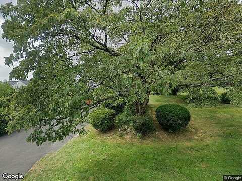 Honeysuckle, WARMINSTER, PA 18974