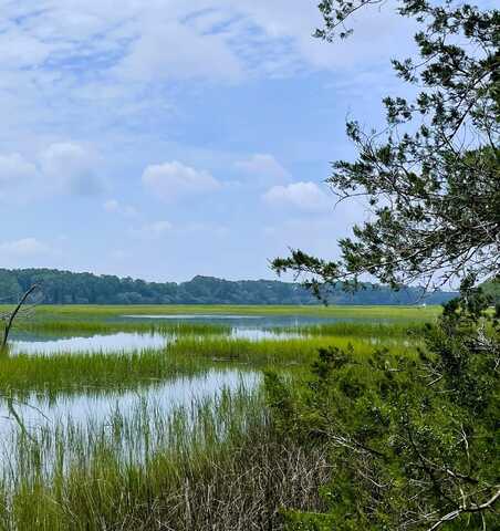 Lot D-2 7743 Toogoodoo Road, Meggett, SC 29449