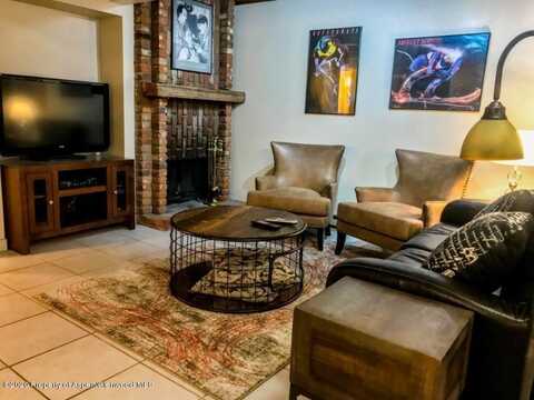630 E cooper Avenue, Aspen, CO 81611