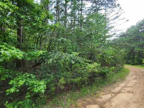 0 Coyne and Elderberry Way, Fairfield Bay, AR 72088