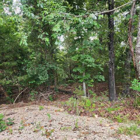 L-38 B-4 Topez Drive, Cherokee Village, AR 72529