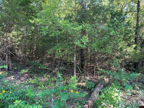 Lot 45 HOURGLASS DRIVE, Midway, AR 72651