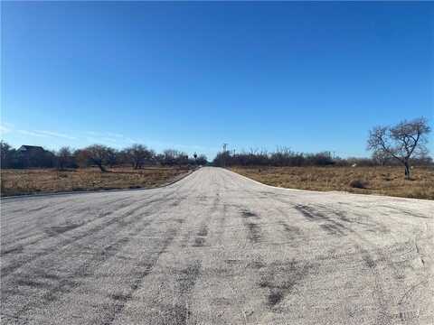 Lot 13 Packing House Avenue & Industrial St Ave, Taft, TX 78390