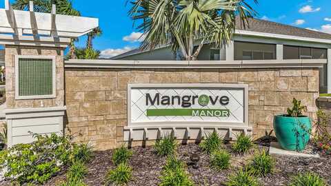 133 Mangrove Manor Dr, Apollo Beach, FL 33572