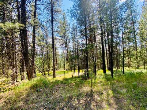 2890 Lower Lost Prairie Road, Marion, MT 59925