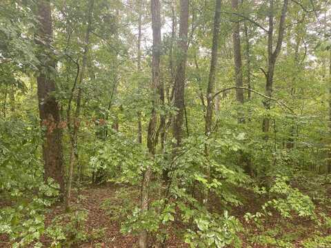Lot 31 Marcos Place, Hot Springs Village, AR 71909