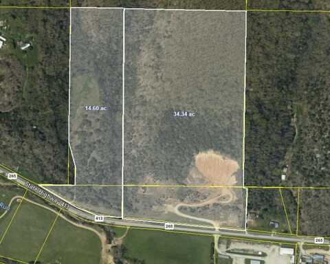 34.34 Acres State Highway 413, Galena, MO 65656
