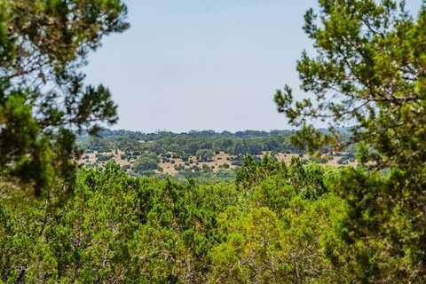 101 Other, Mountain Home, TX 78058