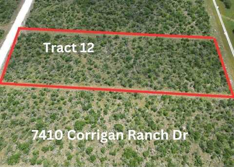 7410 Corrigan Ranch Drive- Tract 12, Skidmore, TX 78389