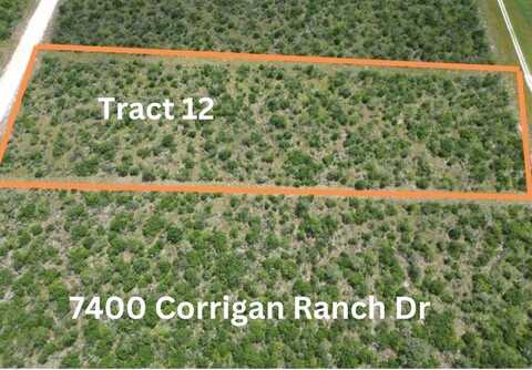 7400 Corrigan Ranch Drive- Tract 11, Skidmore, TX 78389