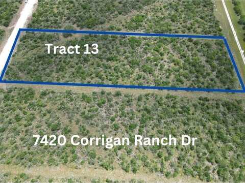 7420 Corrigan Ranch Drive- Tract 13, Skidmore, TX 78389