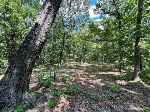 Lot F Mini Farm Drive, Gravois Mills, MO 65037