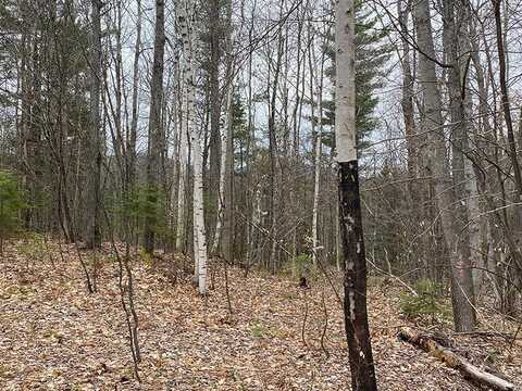 Lot 2 Route 26, Loon Lake, NY 12989