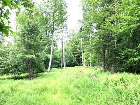 Lot 3 Back rd., Coudersport, PA 16915