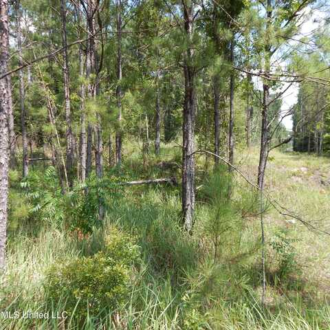 Central Firetower Road, Lucedale, MS 39452