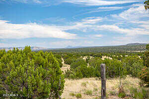 Pine Ridge Lot A Road 50, Seligman, AZ 86337