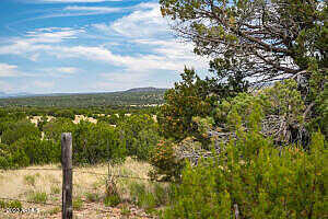 Wooden Ear Lot B -- 50, Seligman, AZ 86337