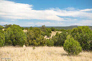 Wooden Ear Ranch Road 50, Seligman, AZ 86337