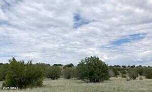 N Juniperwood Ranch Lot 110 Road Nw 110, Ash Fork, AZ 86320