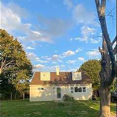 Taylor, EAST PATCHOGUE, NY 11772