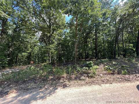 Lot H Mini Farm Drive, Gravois Mills, MO 65037