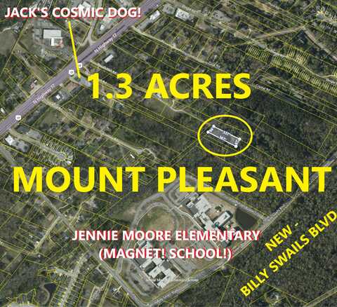 0 Coakley Rd, Mount Pleasant, SC 29466