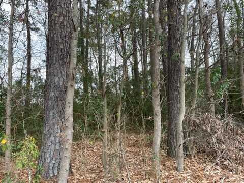 Lot 23 Dennis Drive, Goose Creek, SC 29445