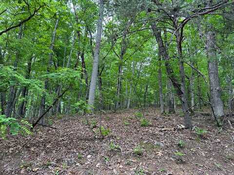 Lot 4 Bushy Hills, WARNE, NC 28904