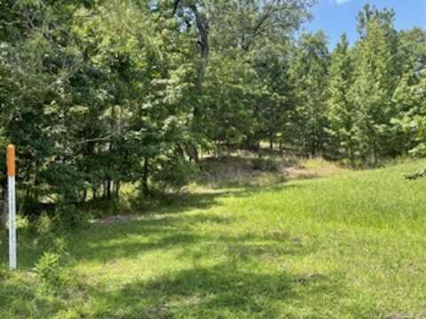 107 Navajo Trail, Maumelle, AR 72113