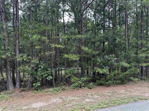 Lot 87 Cobalt Bay Drive, Shirley, AR 72153