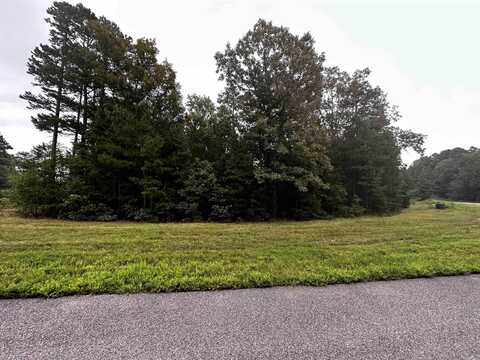 Lot 64 Cobalt Bay Drive Lot, Shirley, AR 72153