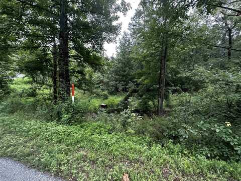 Lot 48 Cobalt Bay Drive, Shirley, AR 72153