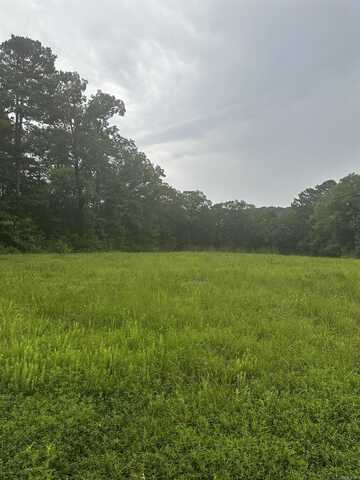 Lot 70 Cobalt Bay Drive, Shirley, AR 72153